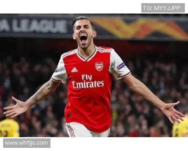 VAR亲承：曾考虑离开球队